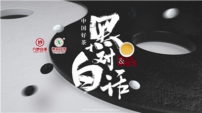 首屆黑白對話高峰論壇圓滿落幕！湘益茯茶備受關(guān)注！