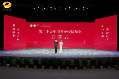 【聚焦第二十屆中國茶業(yè)經(jīng)濟(jì)年會(huì)】益陽茶廠榮獲“民族團(tuán)結(jié)互助企業(yè)”、“2024年度茶業(yè)重點(diǎn)企業(yè)”榮譽(yù)稱號(hào)
