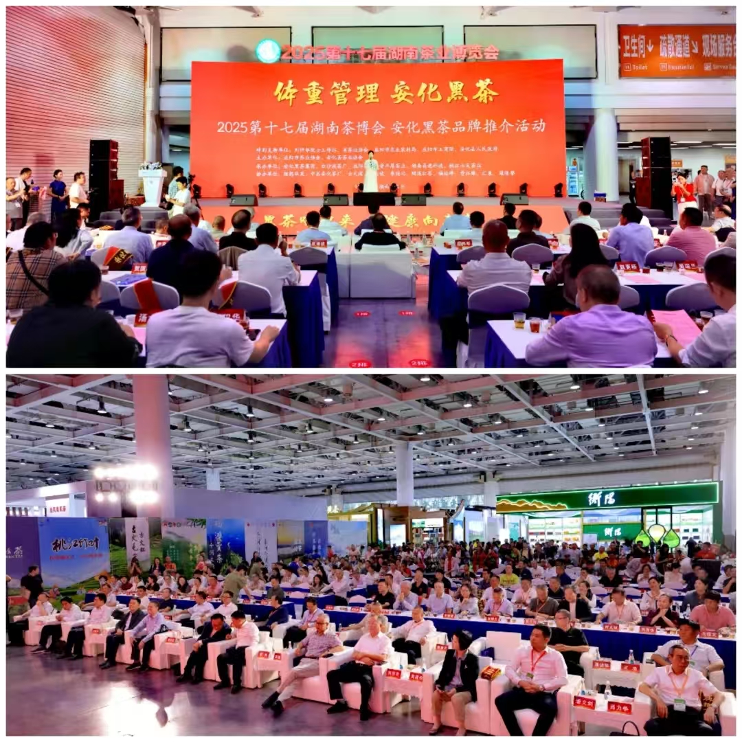 破局邊銷二十載，開啟茯茶新紀(jì)元——湘益茯茶“紀(jì)廿”新品璀璨發(fā)布